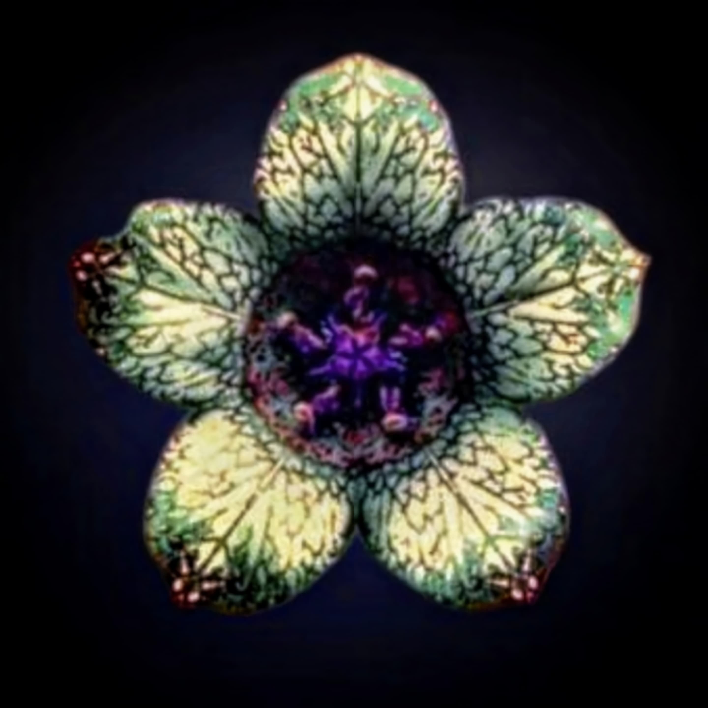 Click to enable audio and video